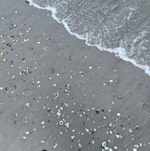 Meet your Posher, Basma